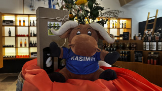 Kasimir zum Kuscheln 0